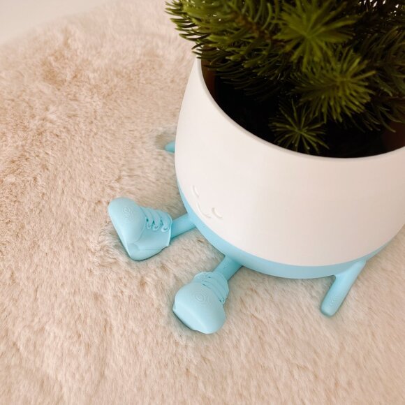Gus with kicks - plant pots for lined plants - Picture 4 of 4
